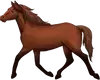 horse-17