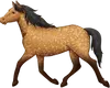 horse-5