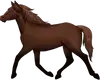 horse-15