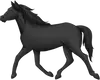 horse-14