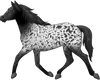 horse-2